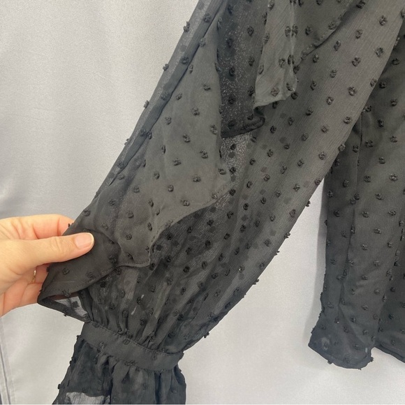 NWT Zara Swiss Dot Ruffle Long Sleeve Sheer Black Top Size Small - Picture 4 of 10